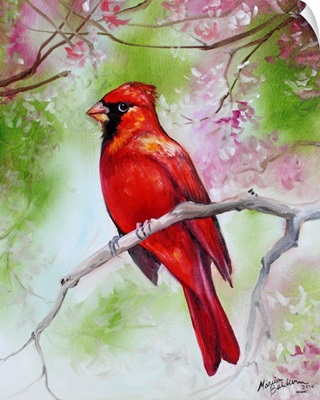 Male Cardinal 1814