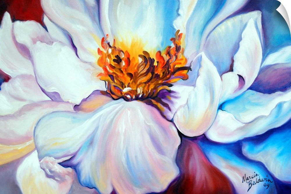 Close up painting of a white peony on a red and blue background.