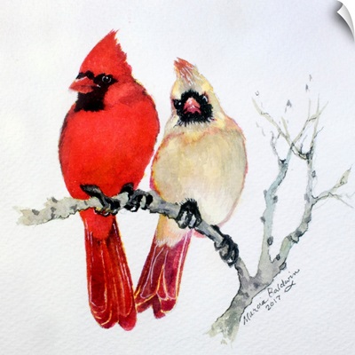 Sassy Pair Cardinals