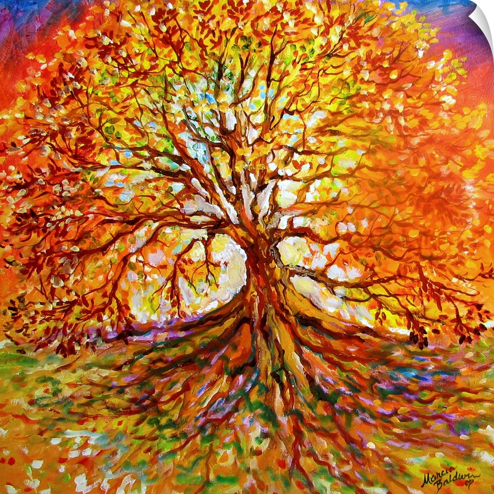 Warm painting of a large Autumn tree at sunset with visible roots stretching down to the bottom of the square canvas.