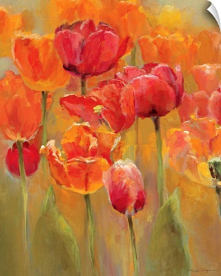 Tulips in the Midst I