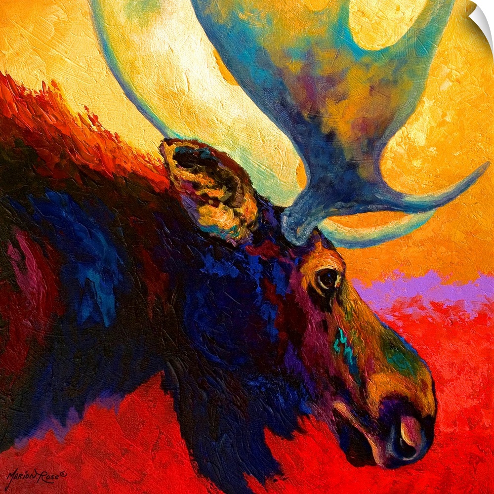 Square, contemporary painting of the profile of a moose with large antlers, from the shoulders forward.  Painted on a brig...