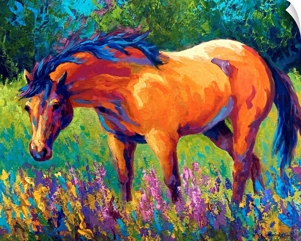 A contemporary painting of a horse gazing in the outdoors surrounded by wild flowers; this horizontal painting makes use o...