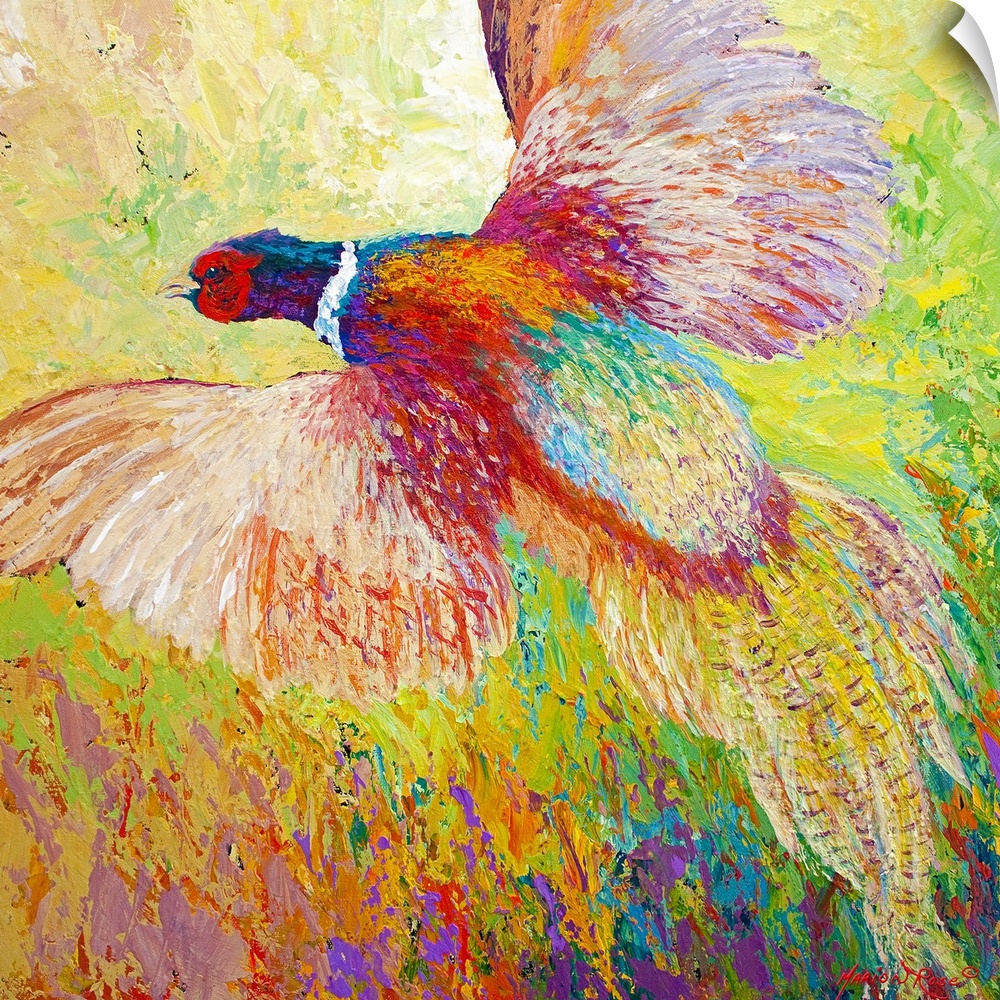 Contemporary painting of a pheasant flying out of the tall grass.