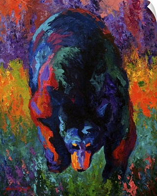 Grounded Black Bear