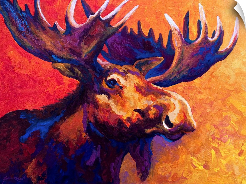 Several colors are used to paint the upper body of a large moose that is surrounded by warm tones.