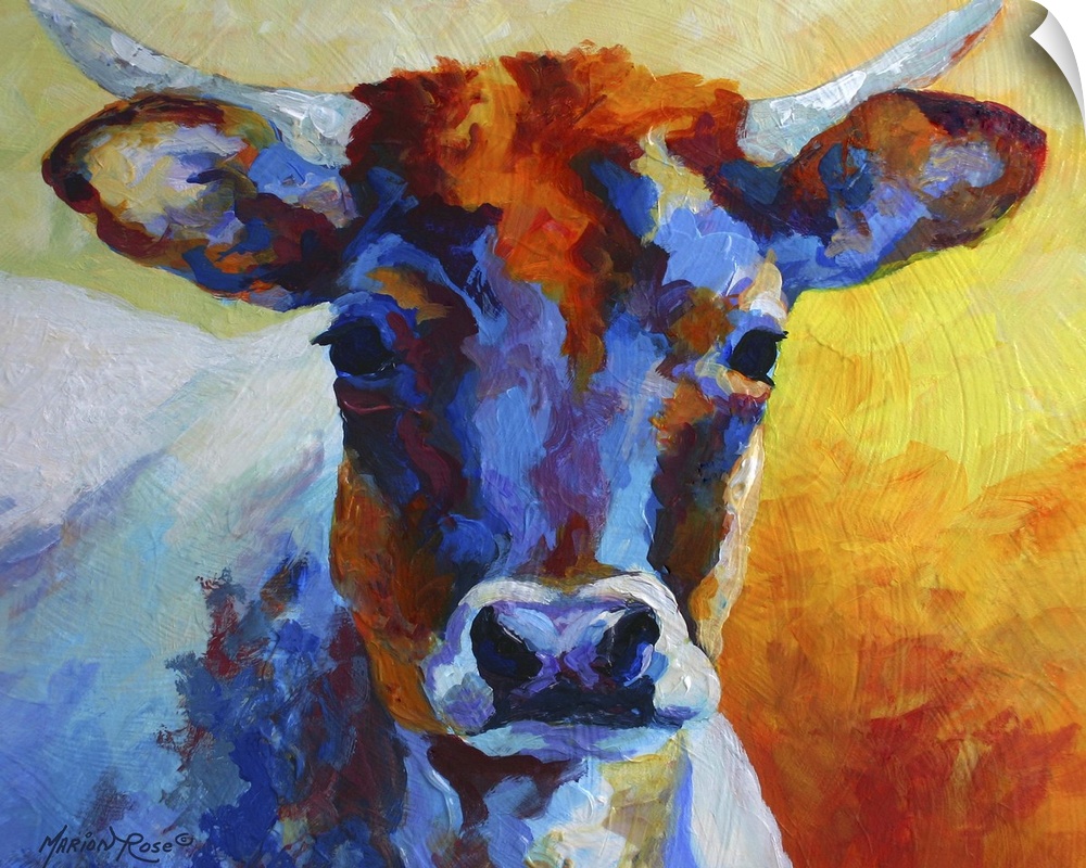 Various colors are used to paint a portrait of a young cow.
