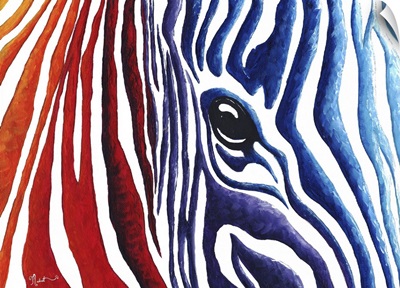 Colorful  Zebra - Contemporary  PoP Art Zebra Painting