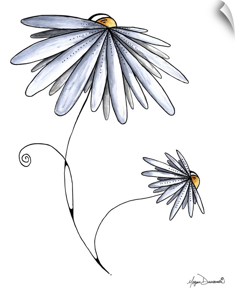 Illustration of two flowers with several petals on a plain white background.