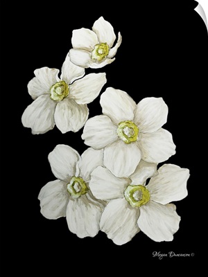 White Flower Set I