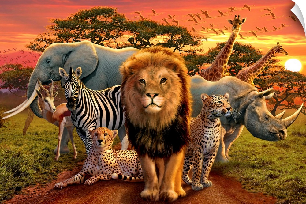 Large illustration of a lion, zebra, elephant, rhinoceros, gazelle, cheetahs, giraffes and birds as they occupy the plains...