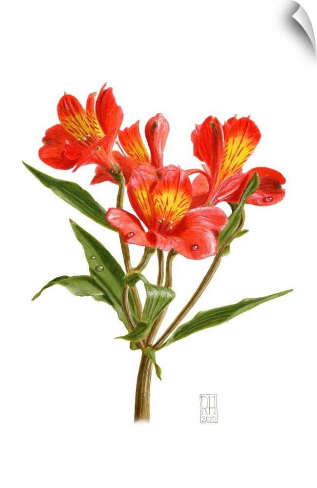 Contemporary artwork of a vibrant orange flower against a white background.