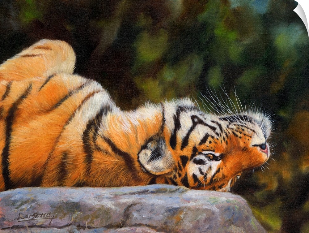Painting of a Siberian tiger playfully laying upside down on a rock.
