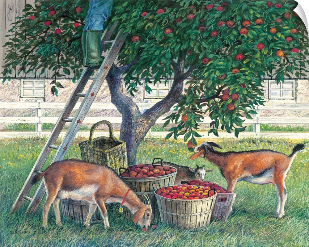 Contemporary painting of goats getting into baskets of freshly picked apples.