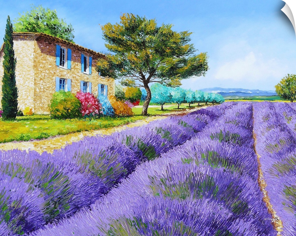 Contemporary painting of a rural field of lavender crops.