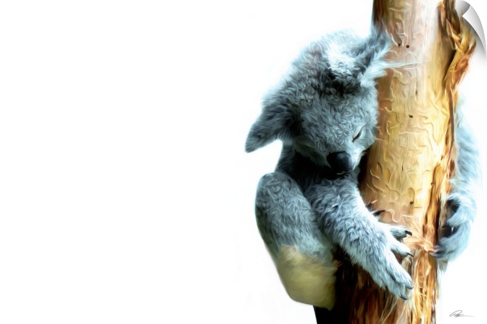 Contemporary animal art of a koala bear sleeping while clutching a tree.