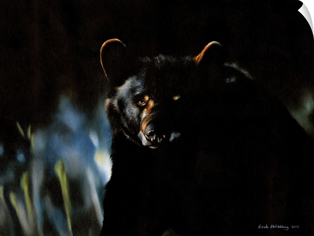 Oil painting of a Black bear.