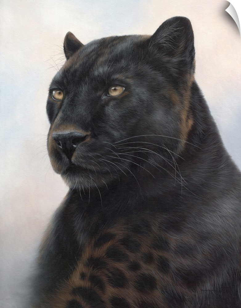 Portrait of a black leopard.
