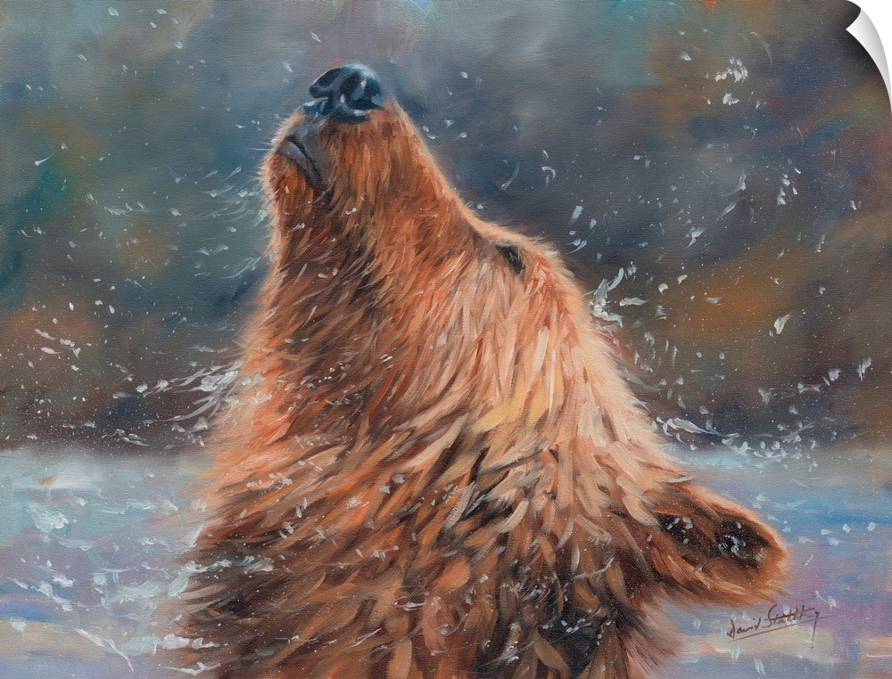 Contemporary painting of a grizzly bear shaking his head to get all the water off.