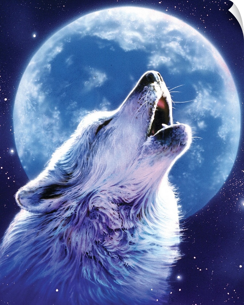 Fantasy art drawing of a wolf howling at the large moon in a star filled sky.