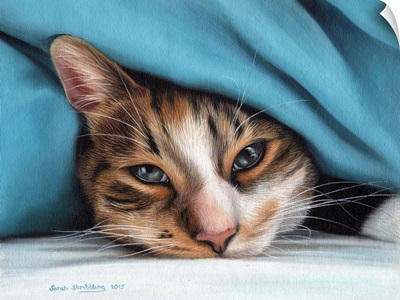Cat Under Blanket