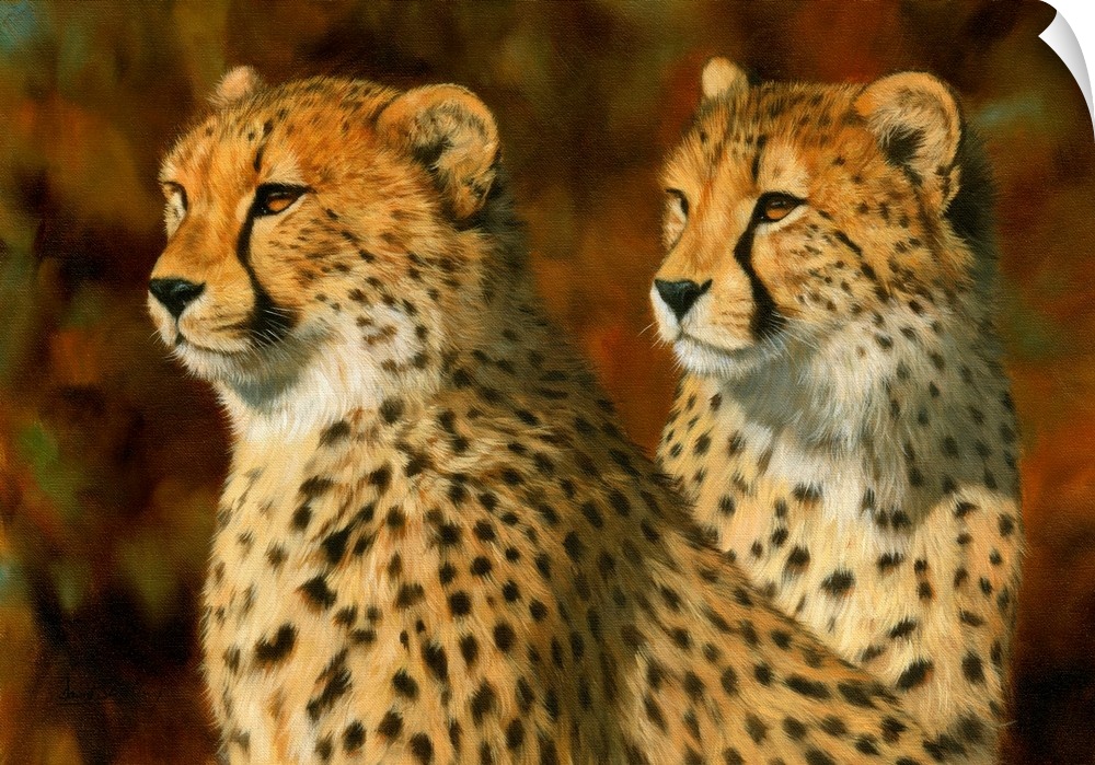 Pair of cheetahs, oil on canvas