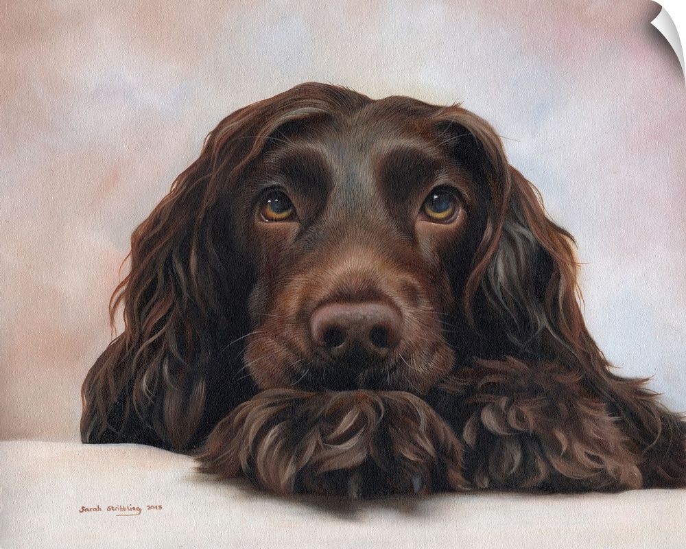 Oil painting of a Cocker spaniel.