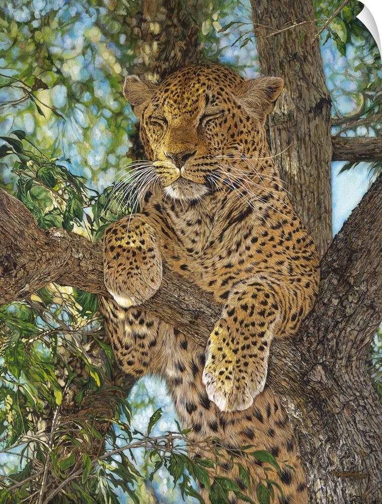 Contemporary painting of a leopard laying in a tree.
