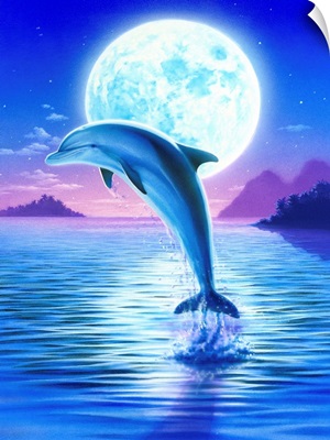 Day Of The Dolphin Midnight