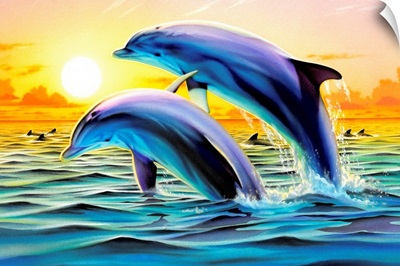 Dolphin Duo II
