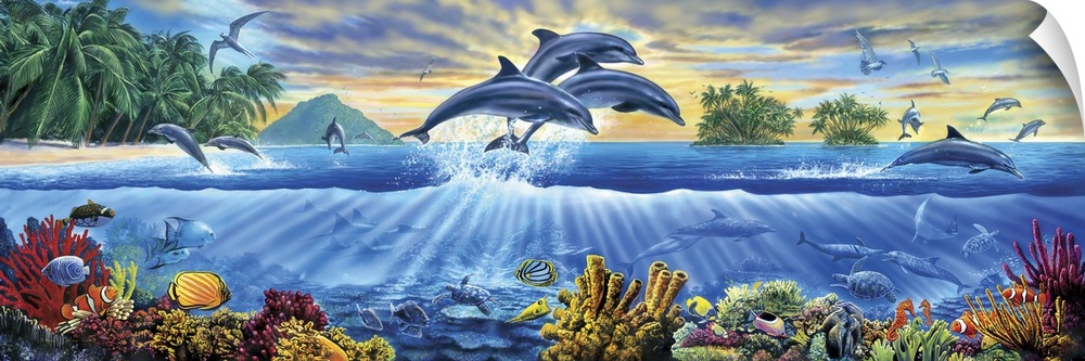 Three Dolphins leaping out of the sea from a side on perspective with an underwater scene including coral, manta rays, and...
