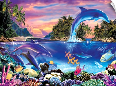 Dolphin Panorama