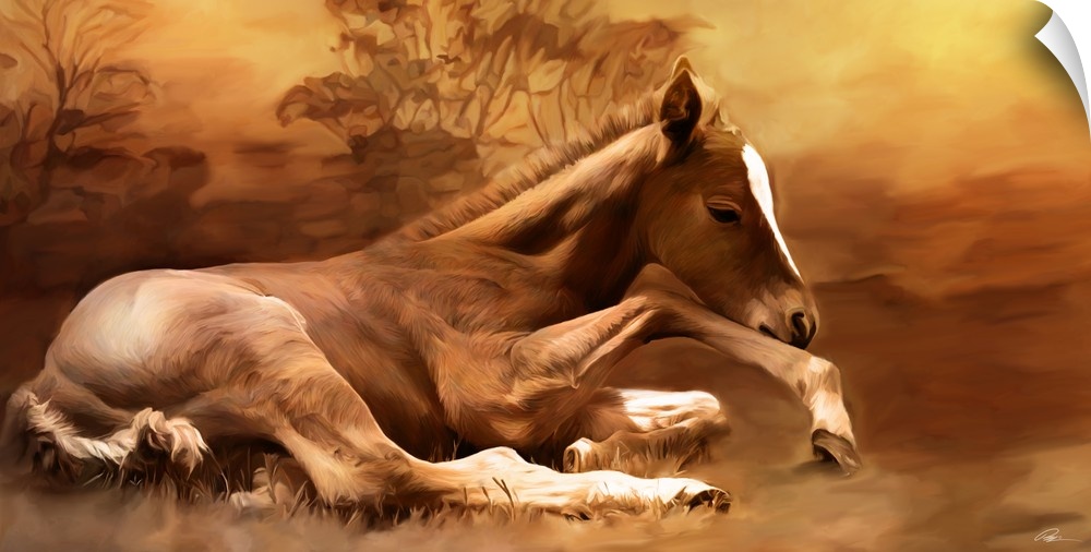 Contemporary animal art of a foal laying peacefully on the ground.