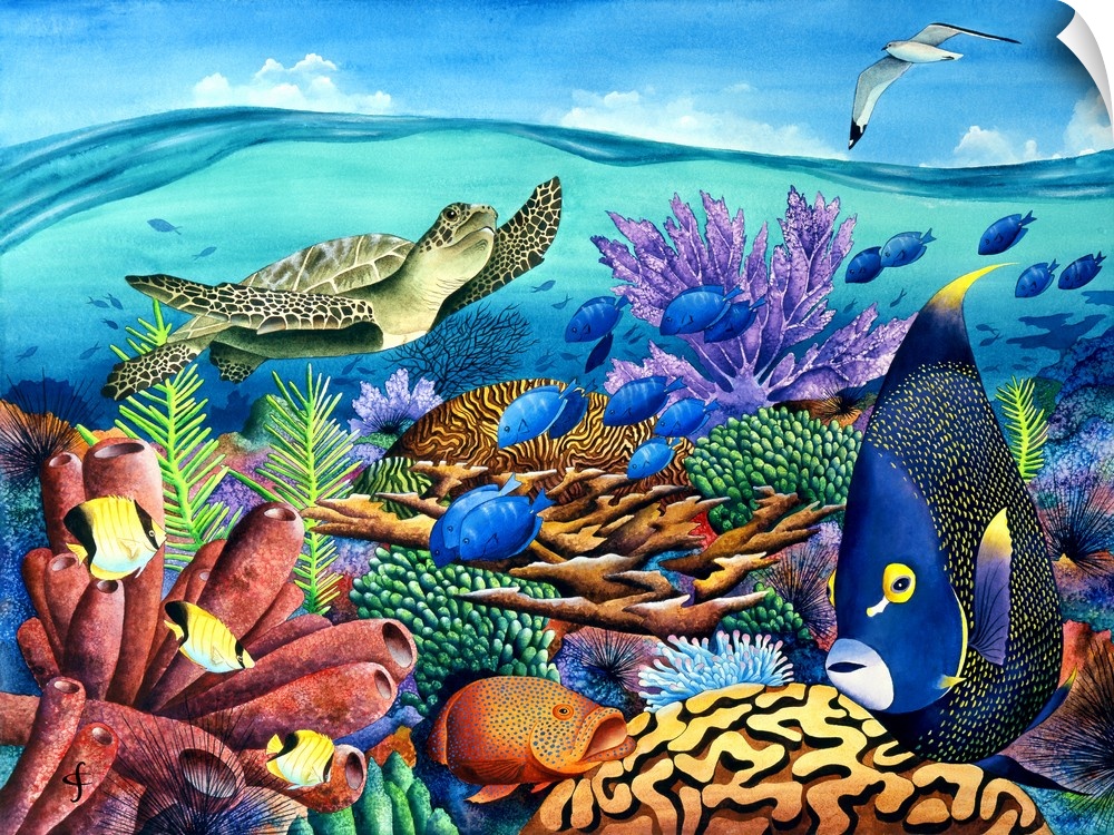Tropical themed artwork of a cross section of the sea life beneath the water.