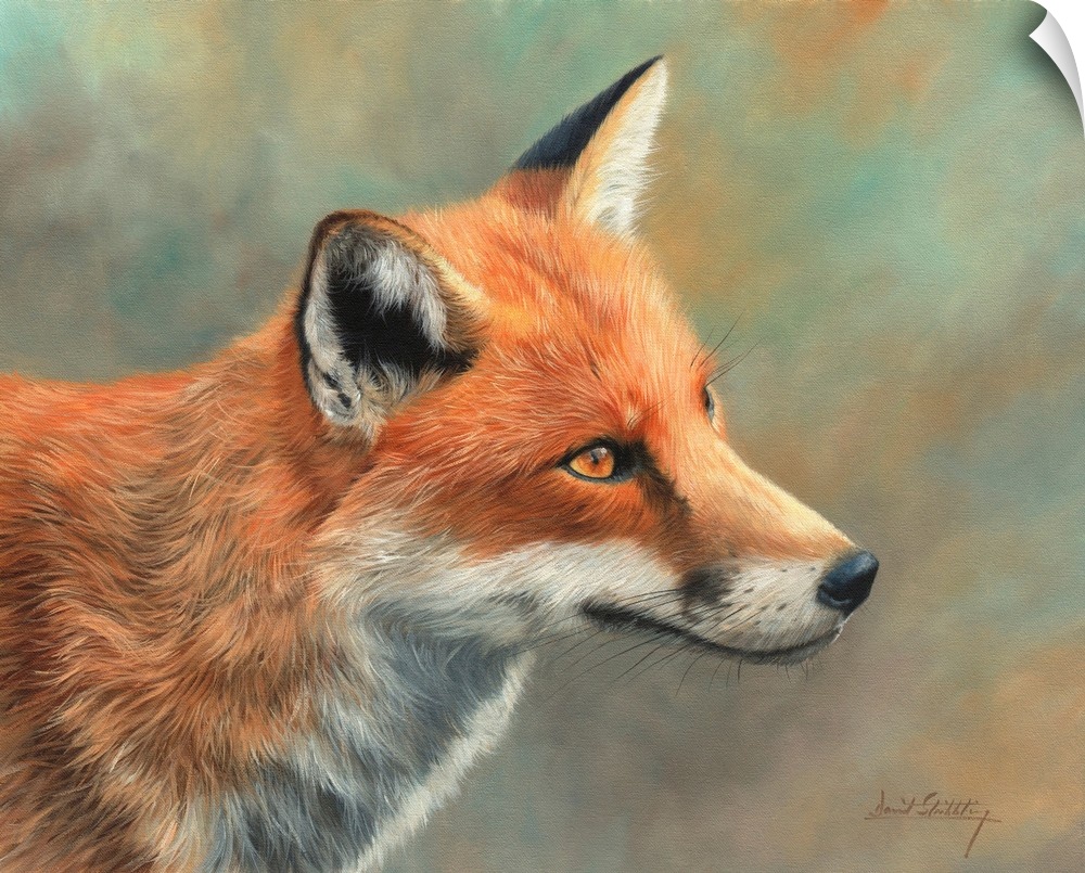 Contemporary painting of a red fox looking at something curiously.