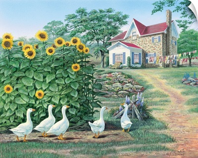 Garden Path - Geese And Sunflowers