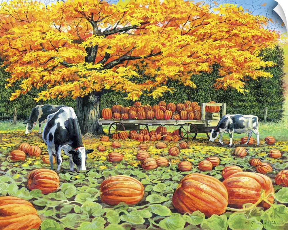 Contemporary painting of cows grazing in a pumpkin patch in autumn.