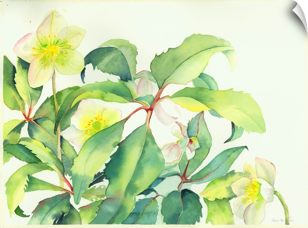 Contemporary watercolor painting of vibrant colorful flowers.