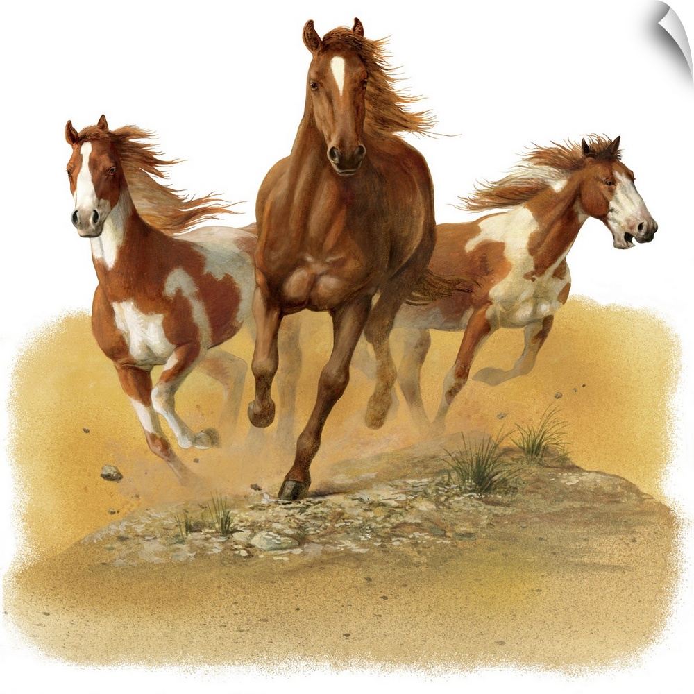 Contemporary painting of three horse in a gallop kicking up dust and dirt.