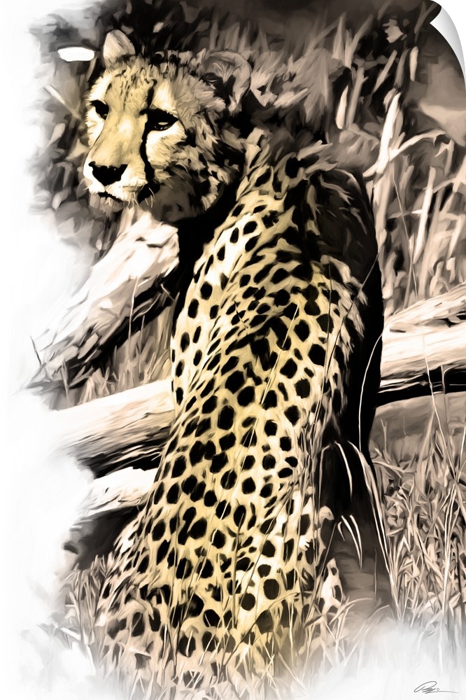 Contemporary animal art of a cheetah looking over its shoulder.