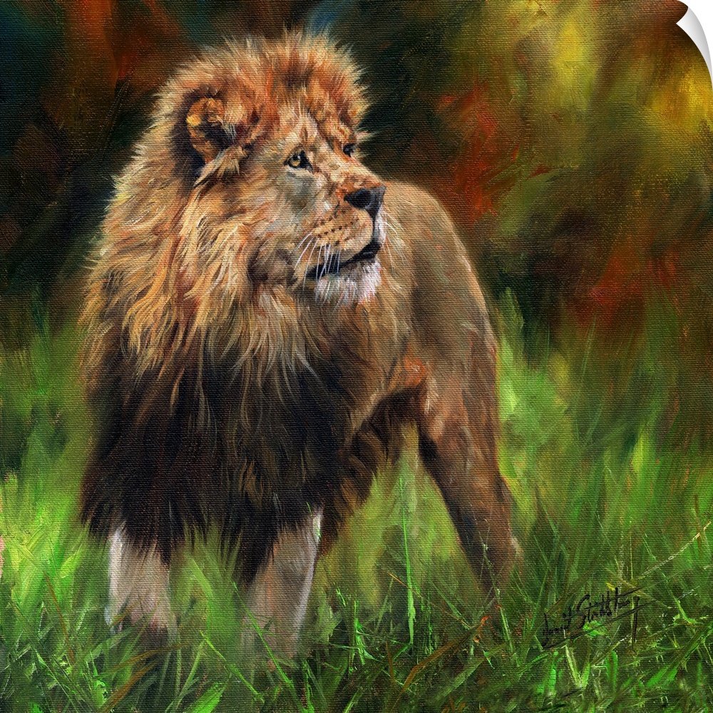 Contemporary painting of a male African lion.