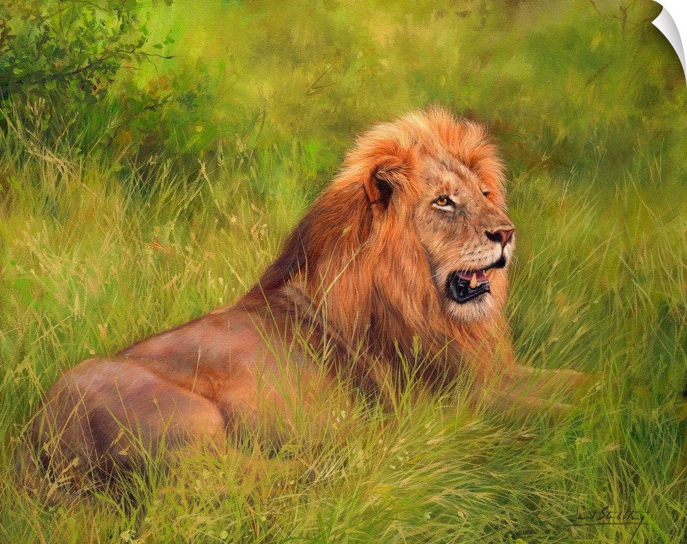 Contemporary painting of an adult male lion laying on soft lush grass.