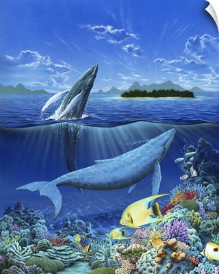 Living Ocean - Whales