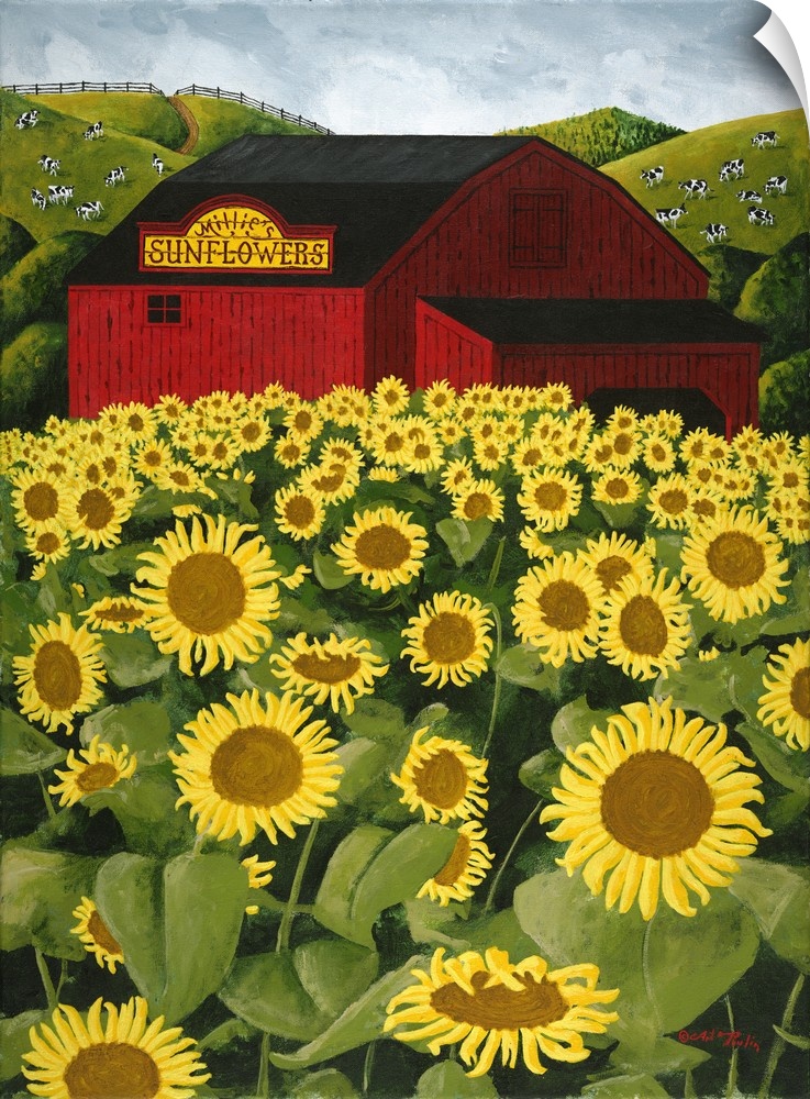 Americana scene of a big red barn in a sunflower field.