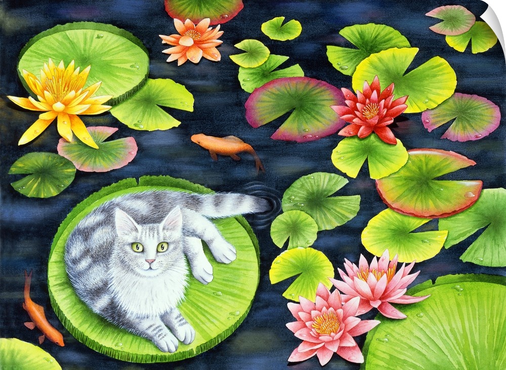 Artwork of a gray cat laying on a big lily pad in a koi pond.