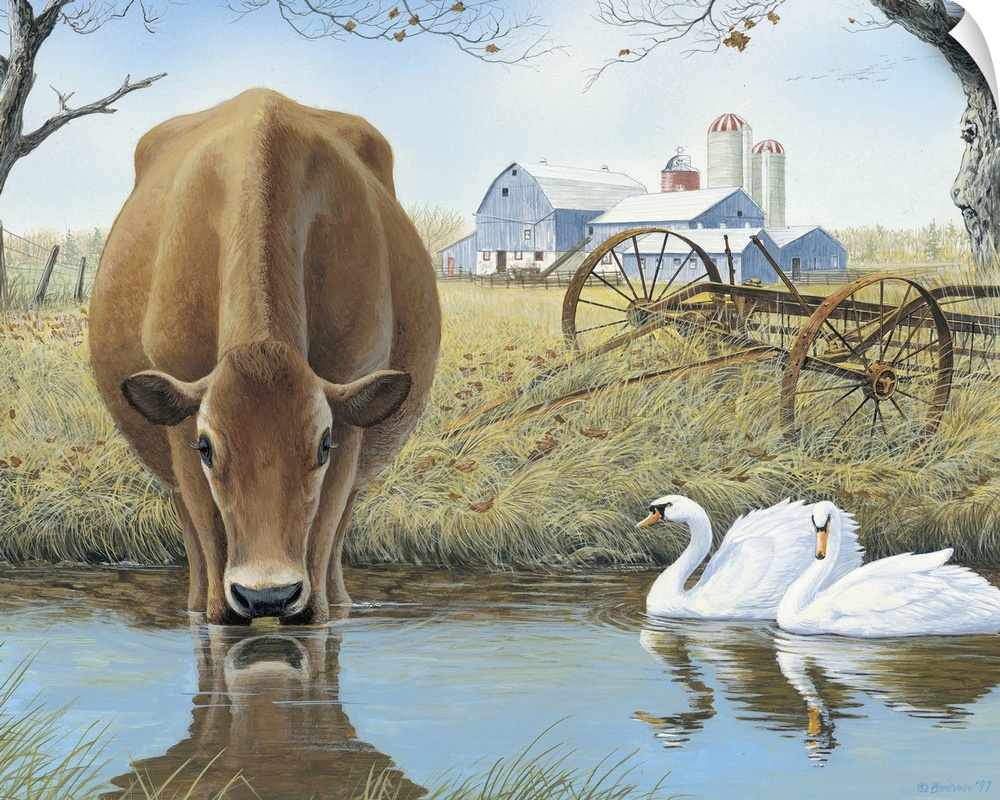 Contemporary painting of a cow drinking from a stream while swans float by.