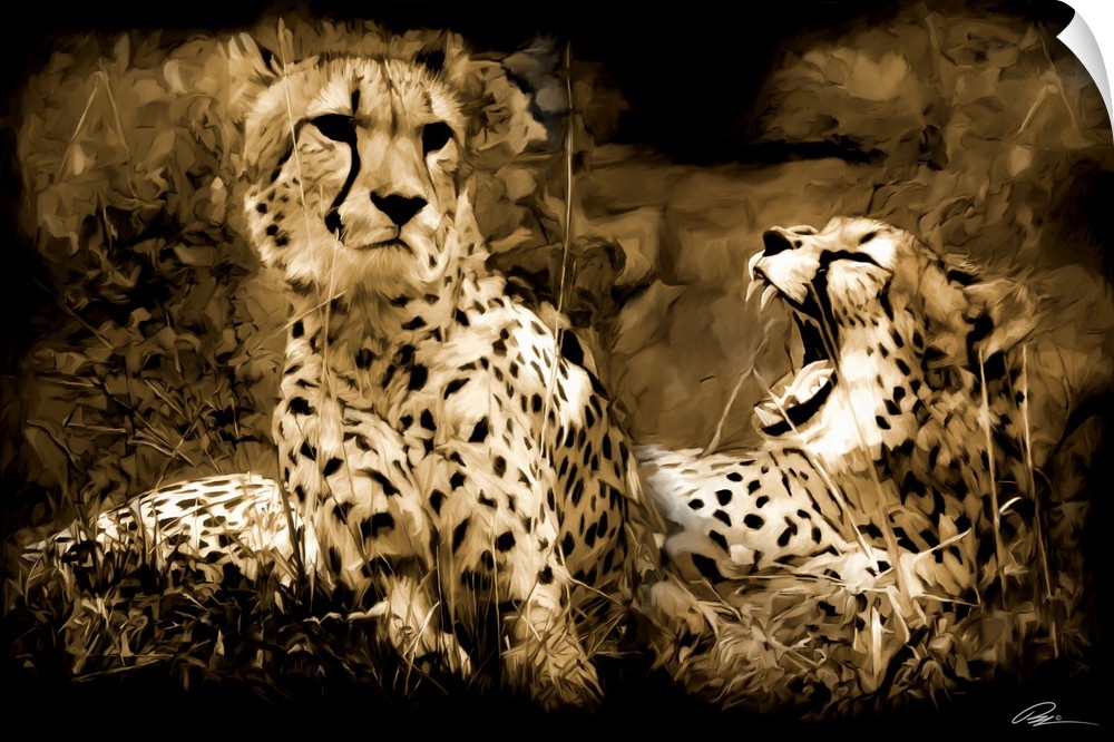 Contemporary animal art of two cheetahs laying together.