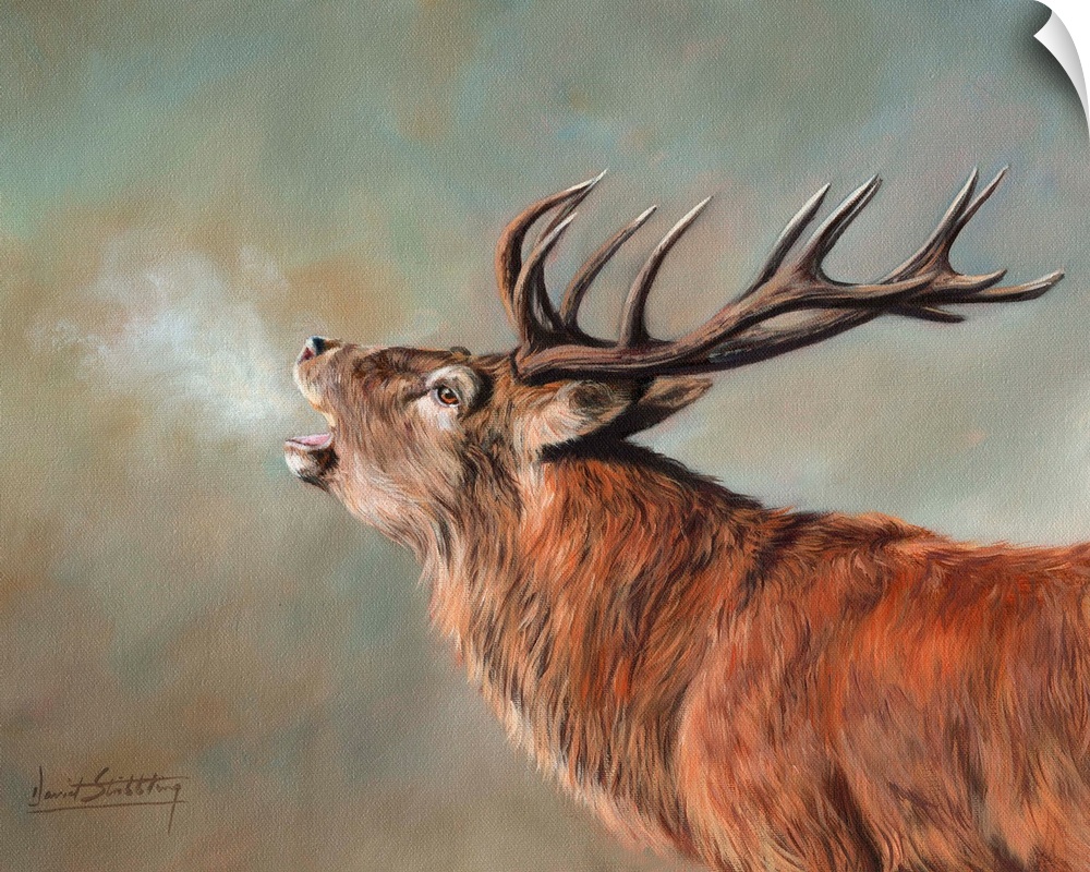 Contemporary painting of a red deer stag in the early morning.