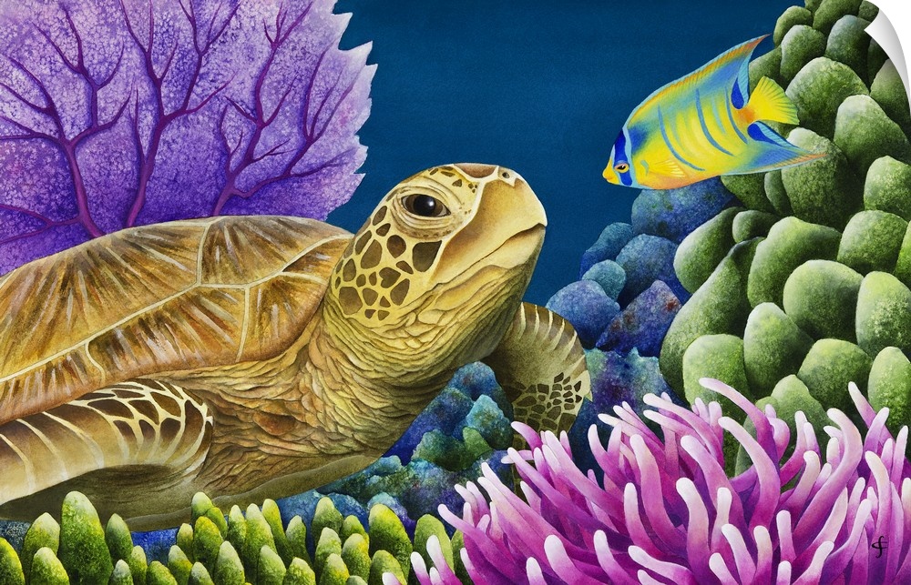 Watercolor painting of a sea turtle and a tropical fish starring at each other in a coral reef.