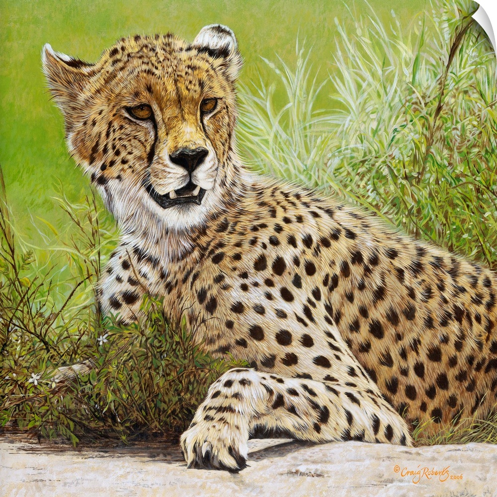 Contemporary art of a cheetah laying in lush grass.